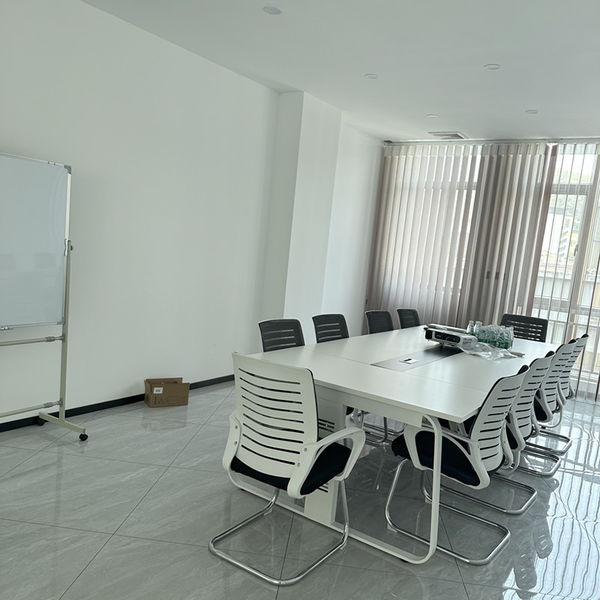 الصين Shenzhen Dingsheng Plasticization Co., Ltd. ملف الشركة