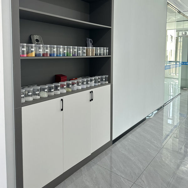 الصين Shenzhen Dingsheng Plasticization Co., Ltd. ملف الشركة